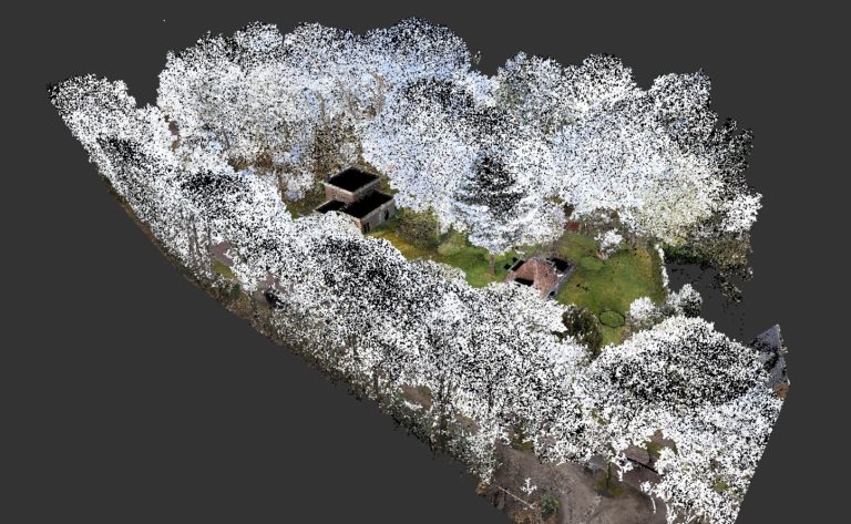 3d laserscanning van bomen