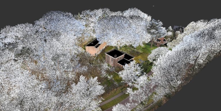 pointcloud trees